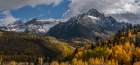 USA-Colorado-Uncompahgre National Forest Mt Sneffels and aspen forest in autumn Art Print